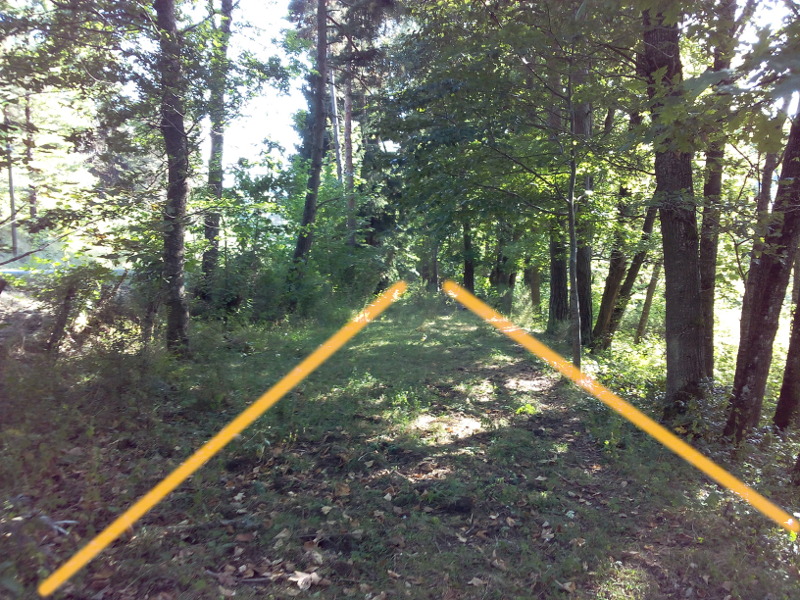 voie-bolene-info-la-bolene-longeant-la-d25-en-contrebas-en-face-larochelambert.jpg