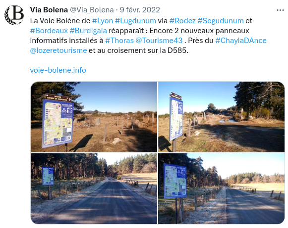 via-bolena-via_bolena-x-02.png